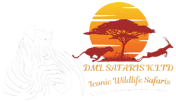 DML Safaris K Ltd